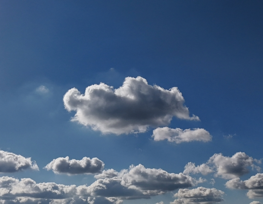 Nokia 6310 (Dumbphone)